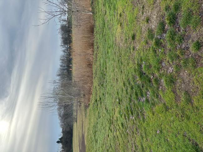 „Futópálya építése Tápén és Szőregen két részajánlati körben” - Szőreg