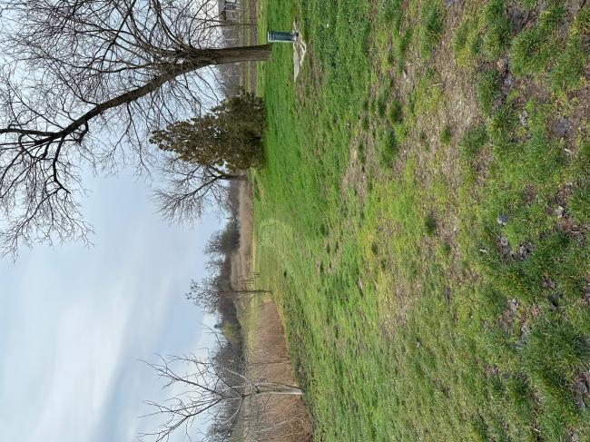 „Futópálya építése Tápén és Szőregen két részajánlati körben” - Szőreg