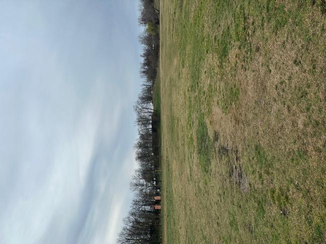 „Futópálya építése Tápén és Szőregen két részajánlati körben” - Szőreg