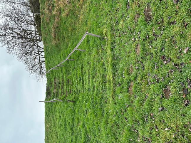 „Futópálya építése Tápén és Szőregen két részajánlati körben” - Szőreg