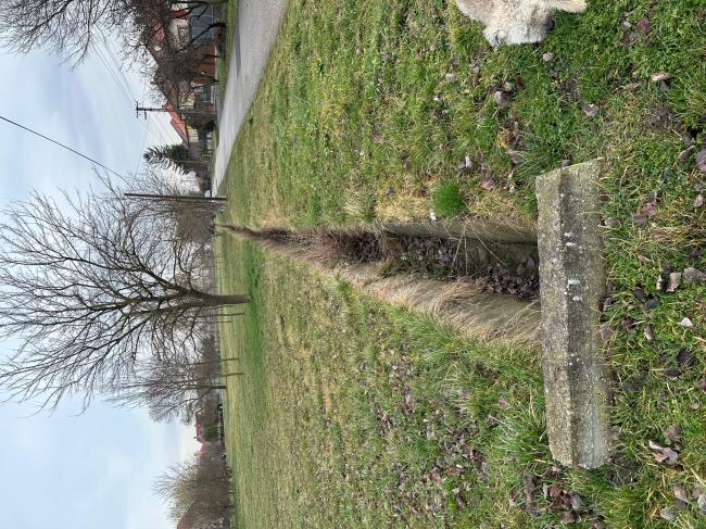 „Futópálya építése Tápén és Szőregen két részajánlati körben” - Tápé