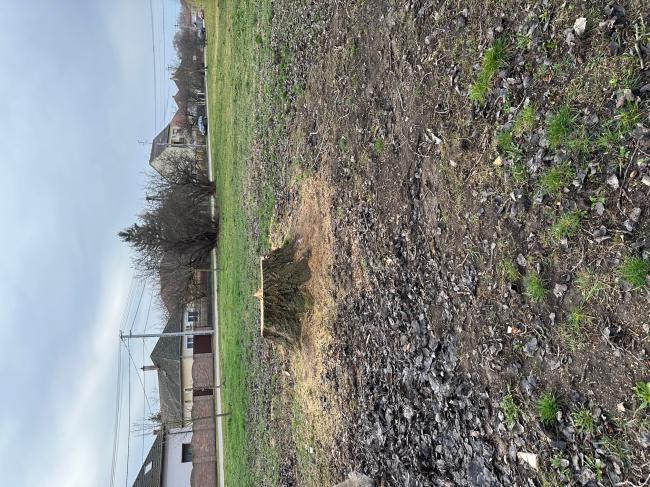 „Futópálya építése Tápén és Szőregen két részajánlati körben” - Tápé