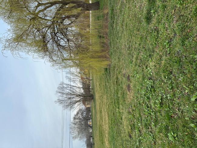 „Futópálya építése Tápén és Szőregen két részajánlati körben” - Tápé