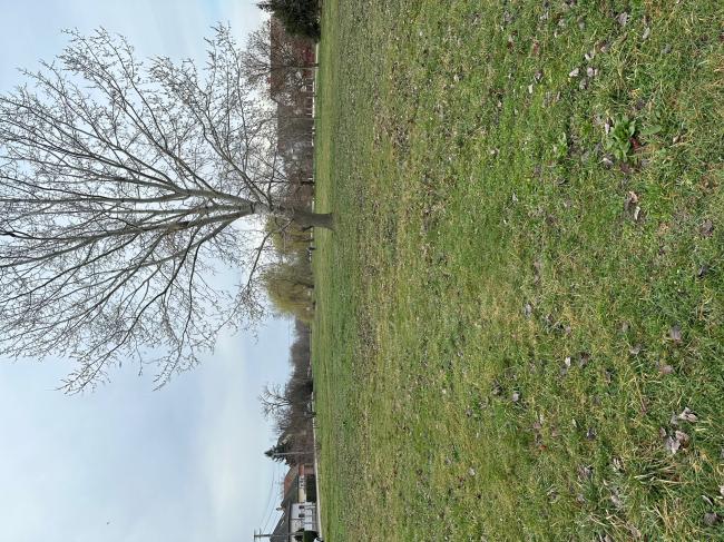 „Futópálya építése Tápén és Szőregen két részajánlati körben” - Tápé