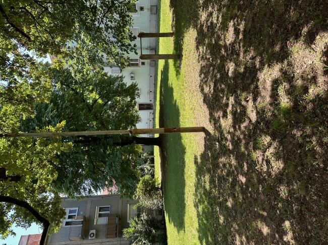 Szeged, Löw Lipót park és Löw Immánuel park rekonstrukciója