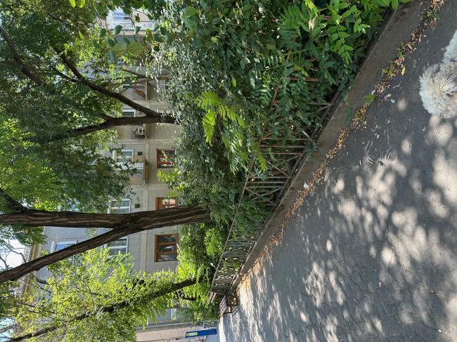 Szeged, Löw Lipót park és Löw Immánuel park rekonstrukciója