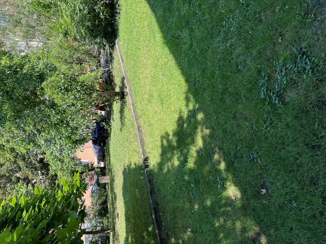 Szeged, Löw Lipót park és Löw Immánuel park rekonstrukciója