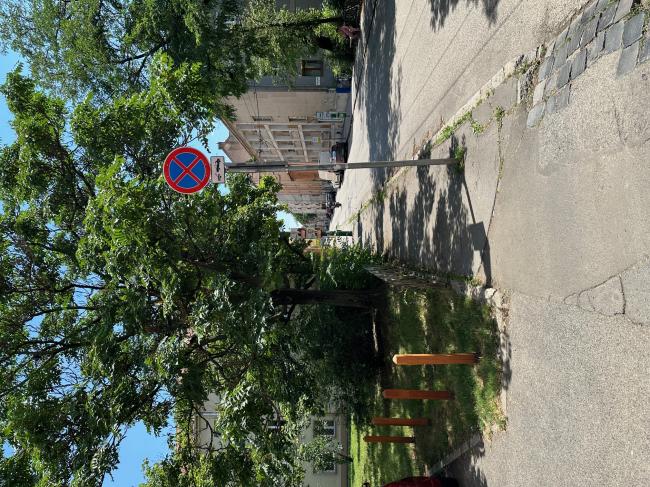 Szeged, Löw Lipót park és Löw Immánuel park rekonstrukciója