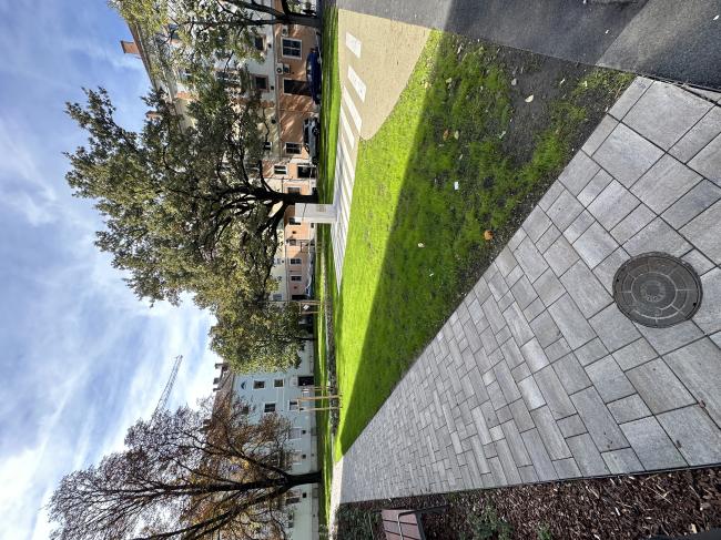 Szeged, Löw Lipót park és Löw Immánuel park rekonstrukciója