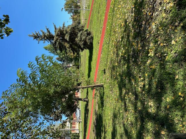 „Futópálya építése Tápén és Szőregen két részajánlati körben” - Szőreg