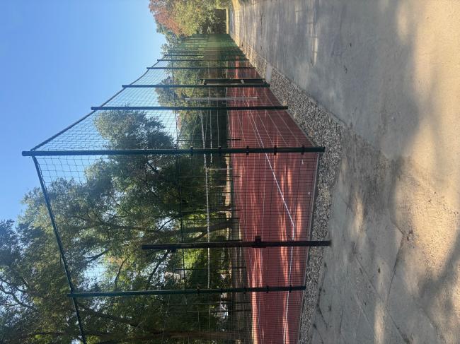 Szeged, Arany János Általános Iskola (6724 Szeged, Kukovecz Nana u. 4.) 2 db röplabda pálya építése