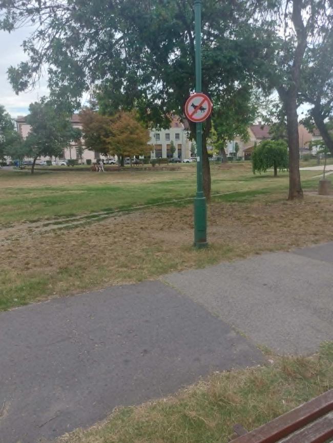 Lechner tér rekonstrukció II. ütem
